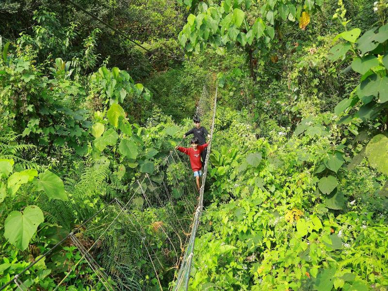 Holistic Stay Eco Resort image