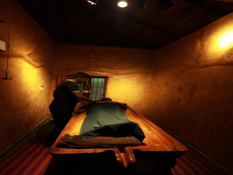 Holistic Stay Eco Resort image