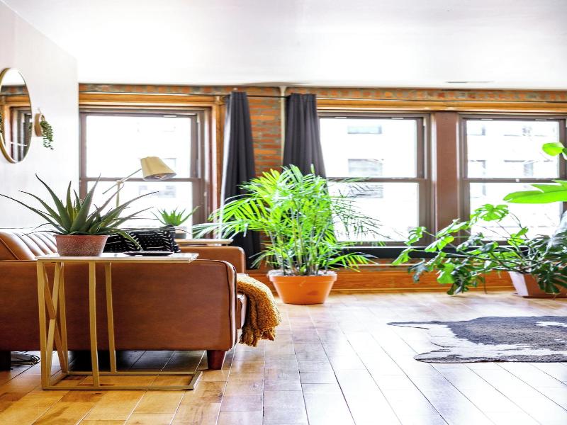 Jungle House Luxury Lofts Â€“ Short North High S image