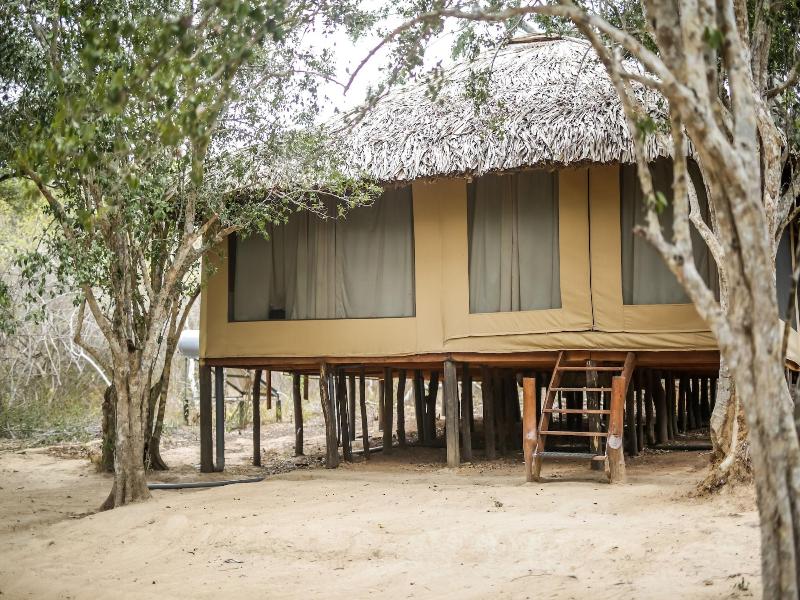 Yala Safari Camping image