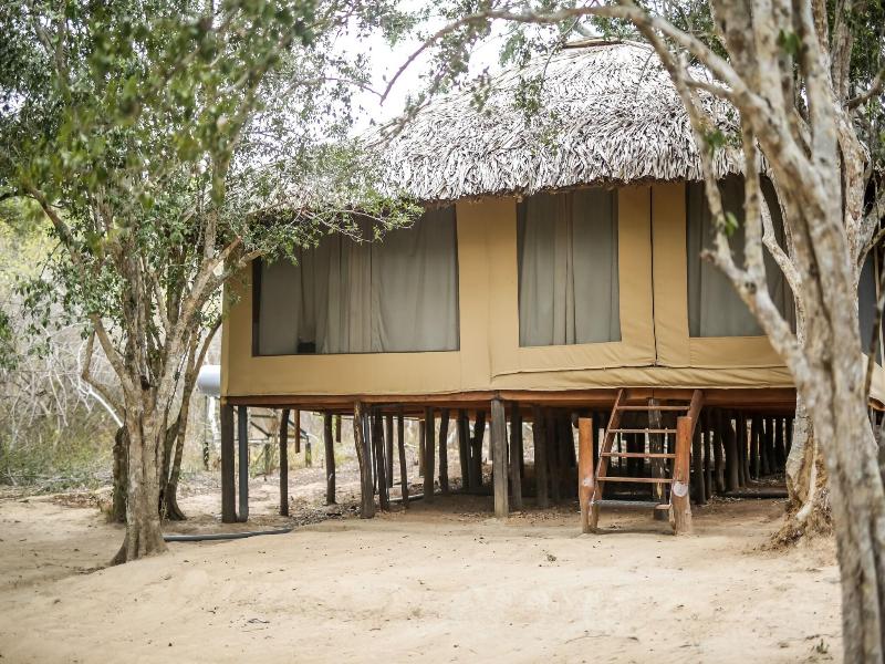 Yala Safari Camping image