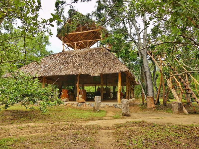 Yala Safari Camping image