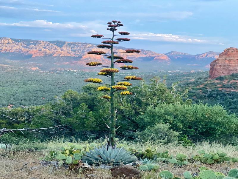 The Grand Canyon Headquarters