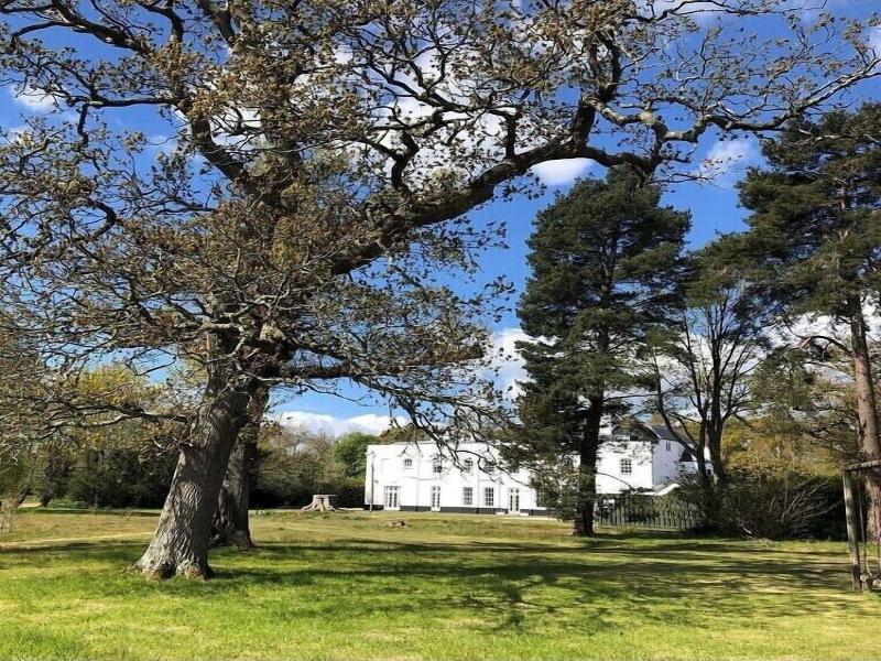 The Retreat New Forest image