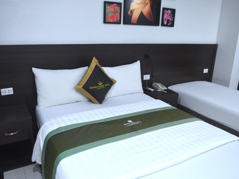 Sao Hotel Nguyen Ngoc Vu image