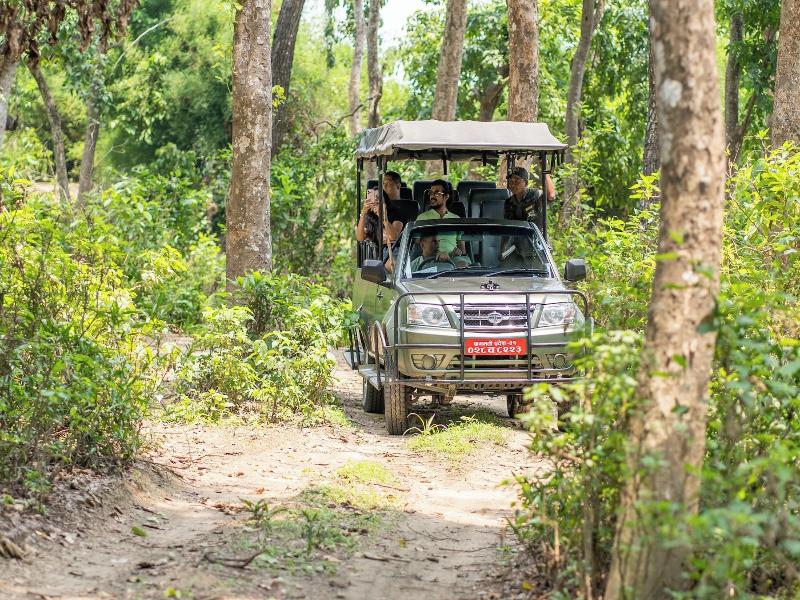 River Bank Jungle Resort image