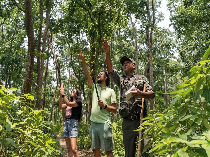 River Bank Jungle Resort image