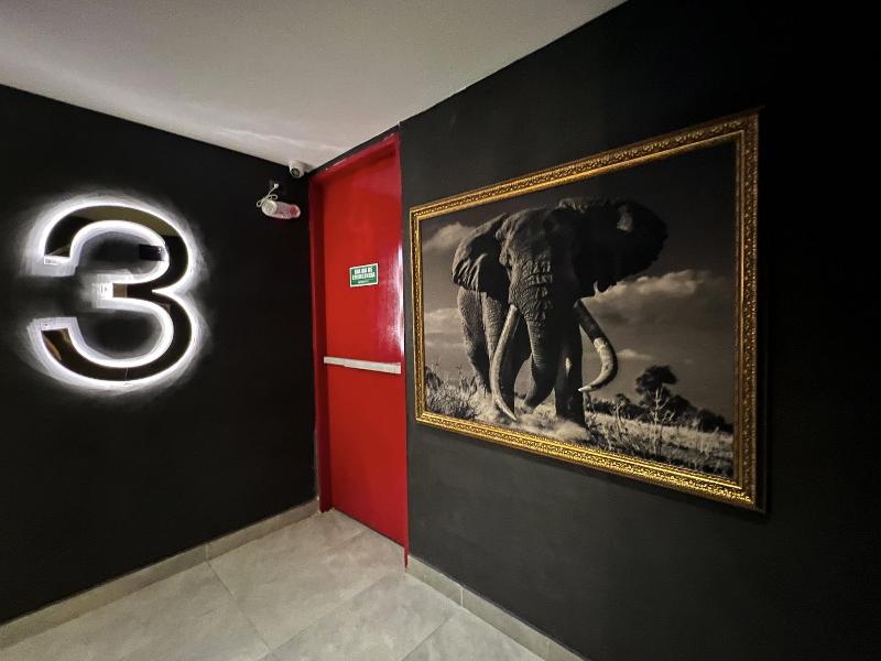 Hotel Zelva Negra image