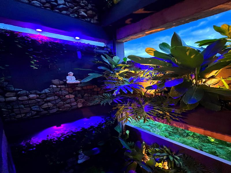 Hotel Zelva Negra image