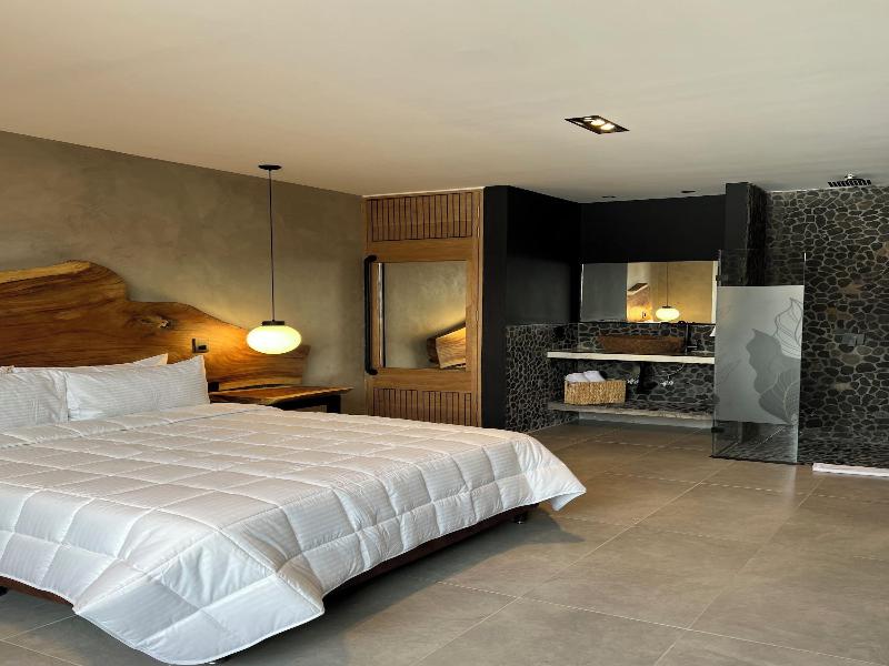 Hotel Zelva Negra image
