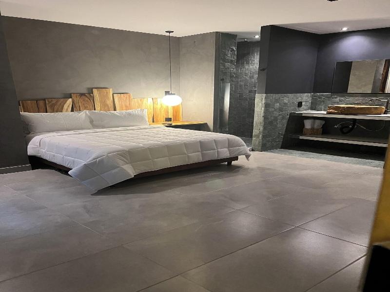 Hotel Zelva Negra image