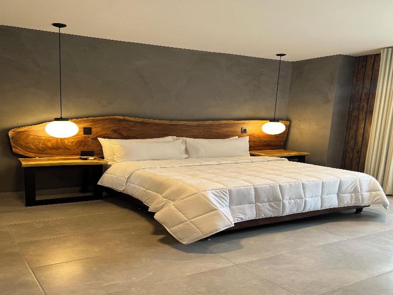 Hotel Zelva Negra image