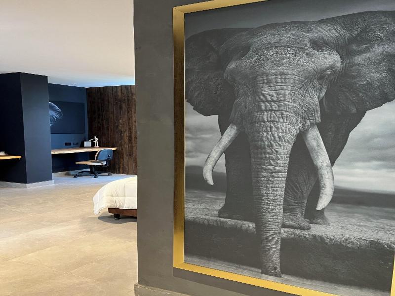 Hotel Zelva Negra image