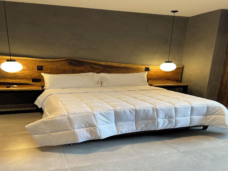 Hotel Zelva Negra image