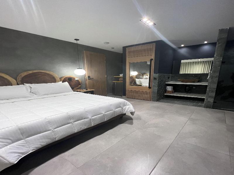 Hotel Zelva Negra image