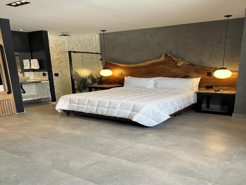 Hotel Zelva Negra image