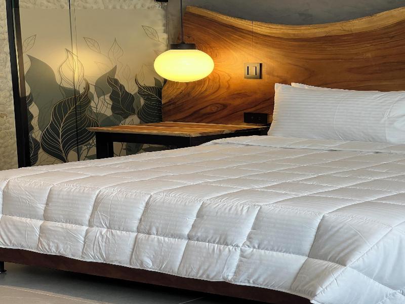 Hotel Zelva Negra image
