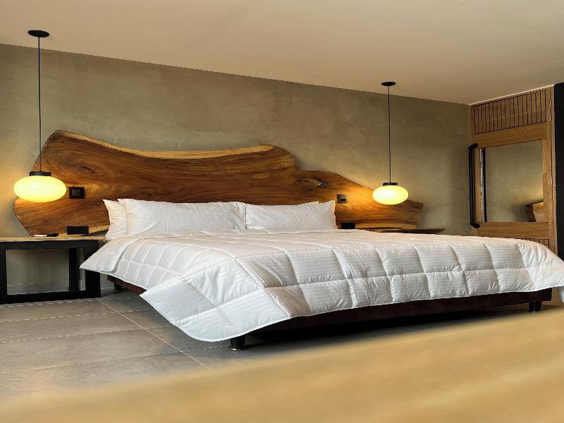 Hotel Zelva Negra image