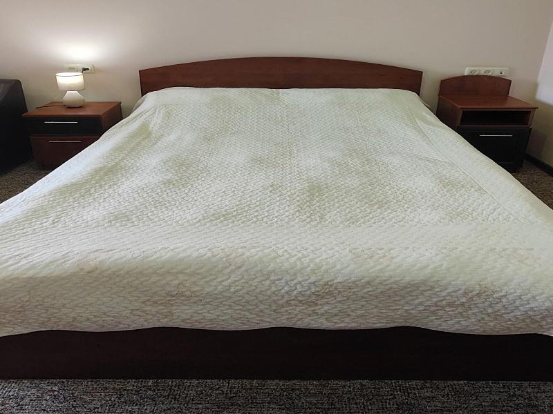 Areg Boutique Hotel image