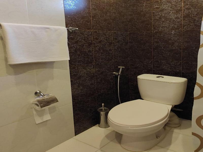 Areg Boutique Hotel image
