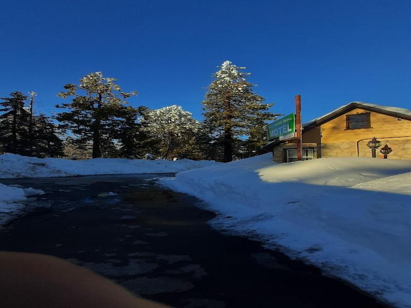 Sherwood Arms Motel image