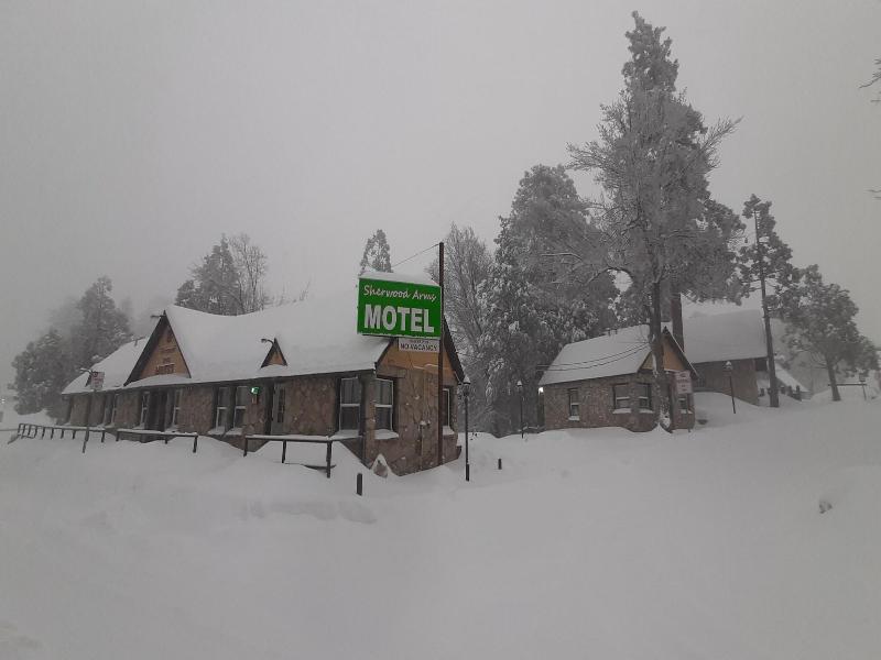 Sherwood Arms Motel image