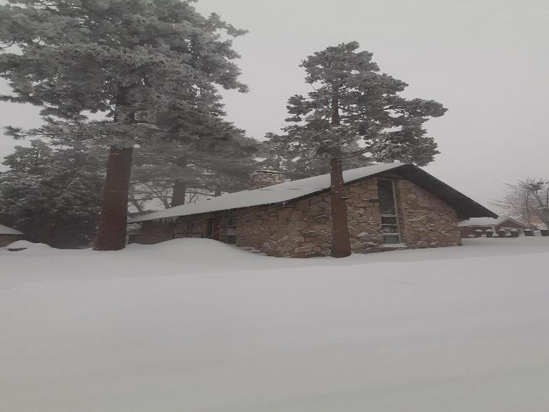 Sherwood Arms Motel image