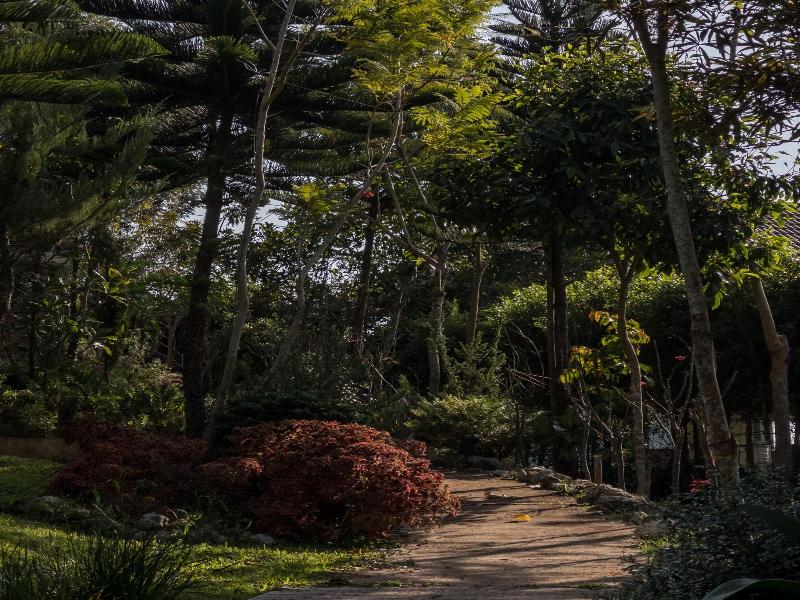 Vana Homestay image