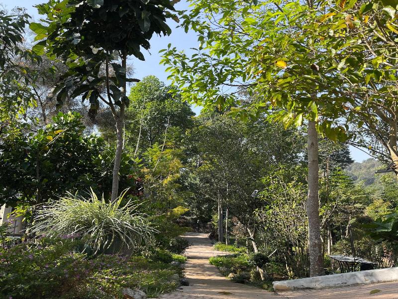 Vana Homestay image