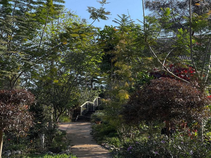Vana Homestay image