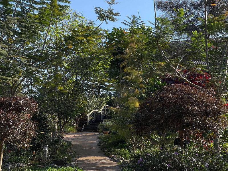 Vana Homestay image