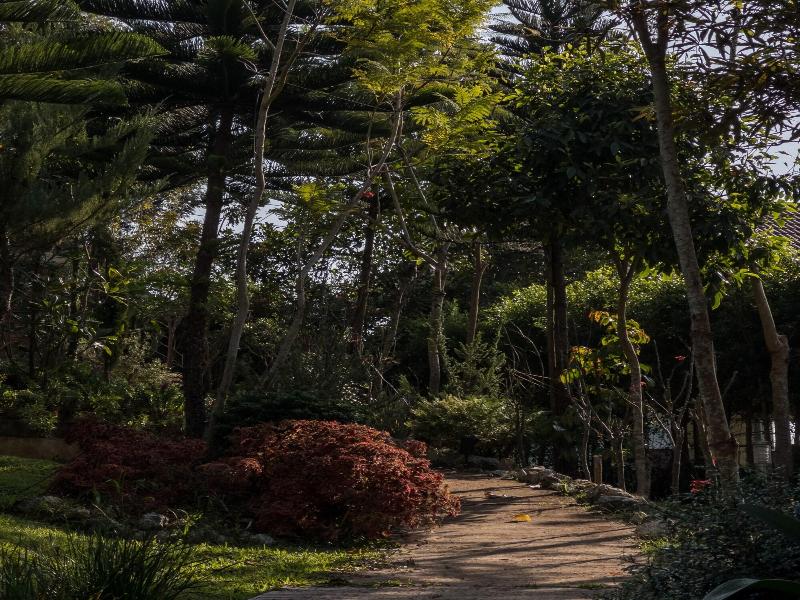 Vana Homestay image