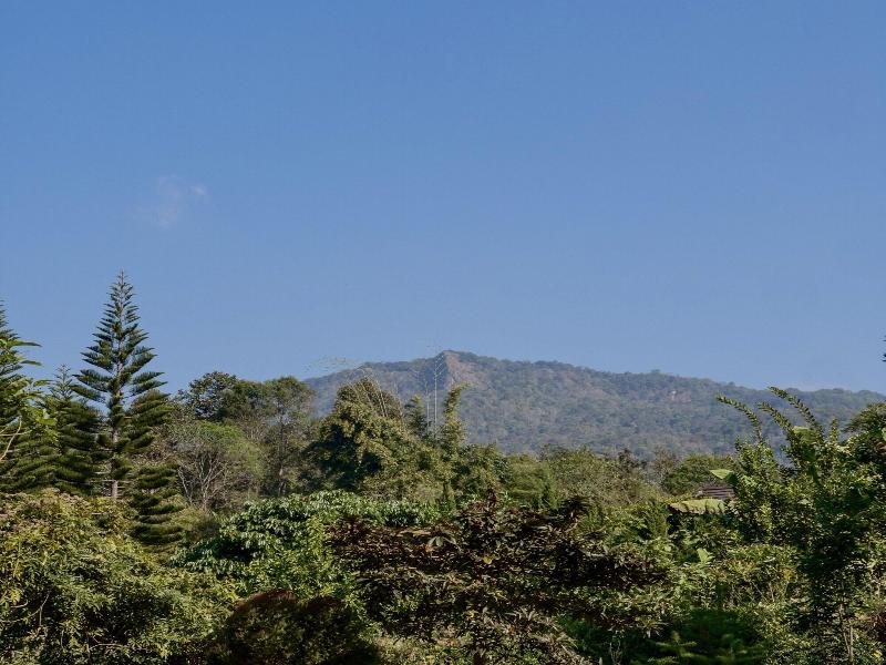Vana Homestay image