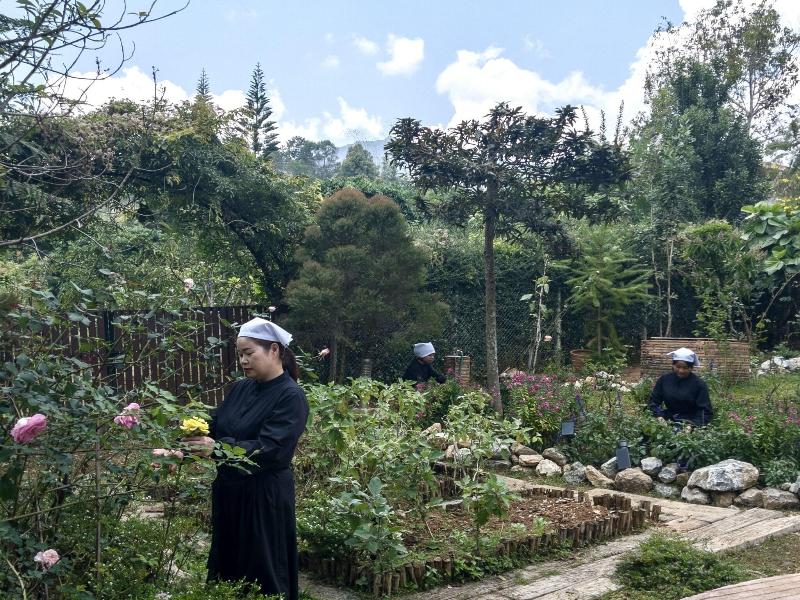 Vana Homestay image