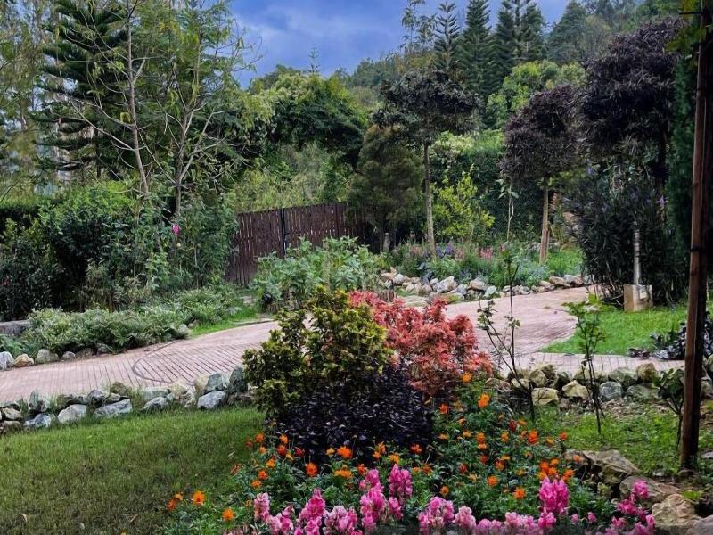 Vana Homestay image