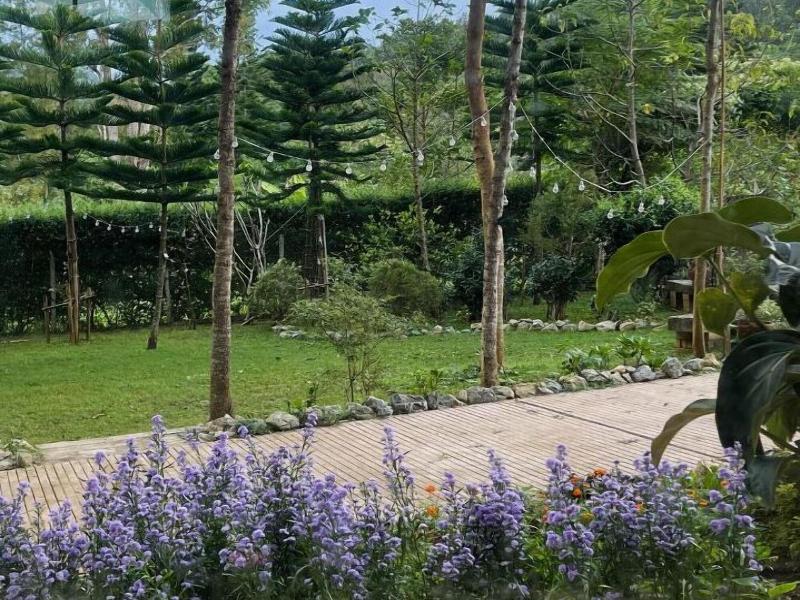 Vana Homestay image
