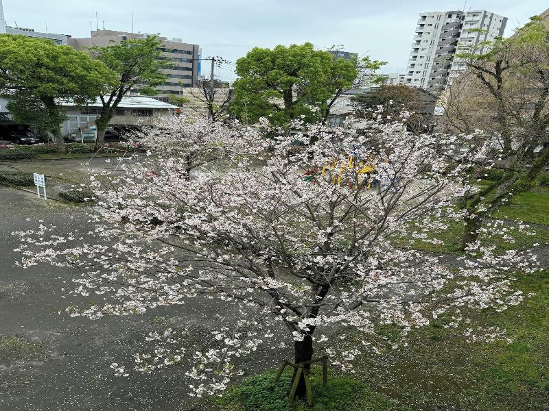 Hotel Ninestates Kagoshima image