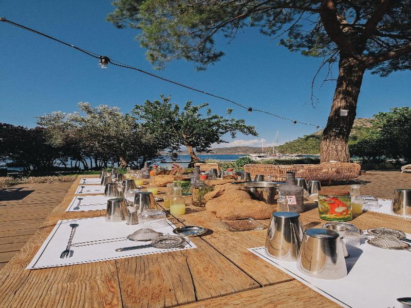 Yazz Collective — general view