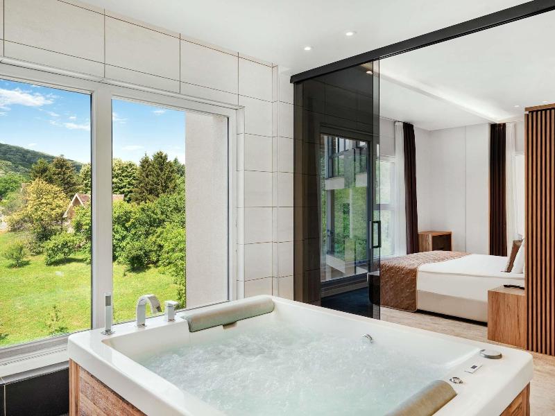 Mã¶venpick Resort And Spa Fruske Terme image