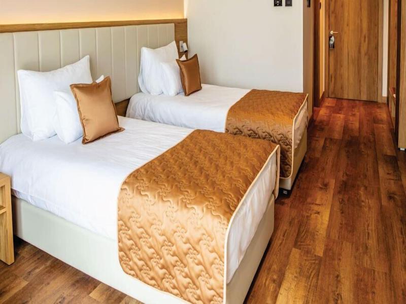 Mã¶venpick Resort And Spa Fruske Terme image