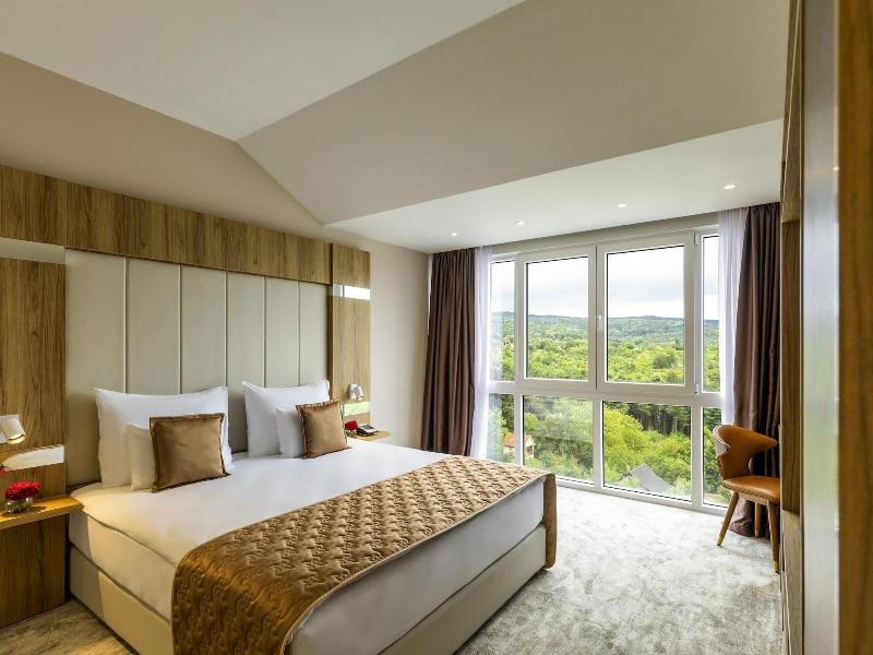 Mã¶venpick Resort And Spa Fruske Terme image