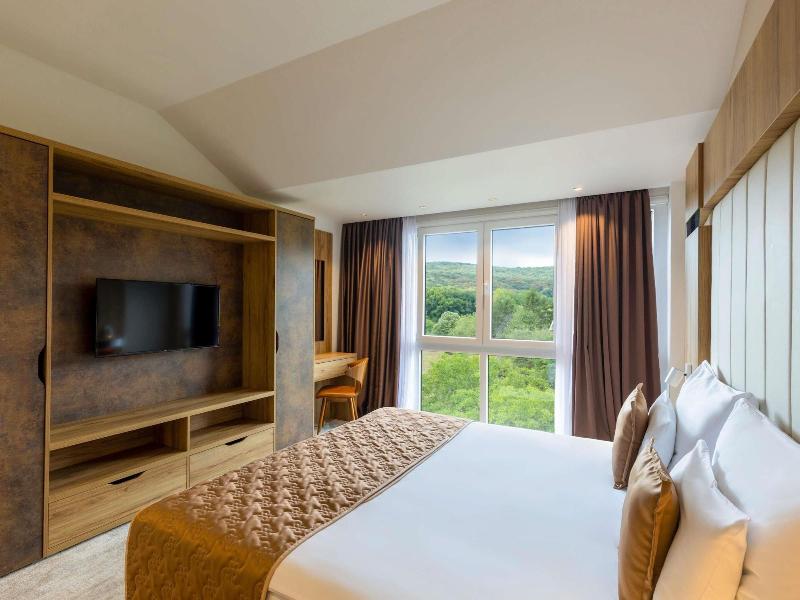 Mã¶venpick Resort And Spa Fruske Terme image