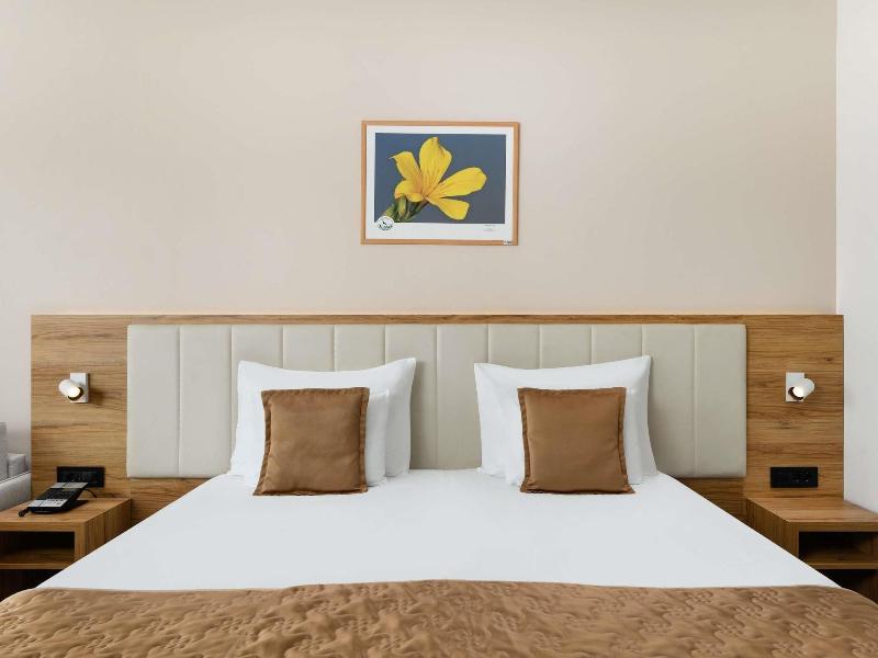 Mã¶venpick Resort And Spa Fruske Terme image