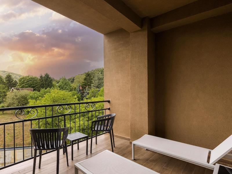 Mã¶venpick Resort And Spa Fruske Terme image