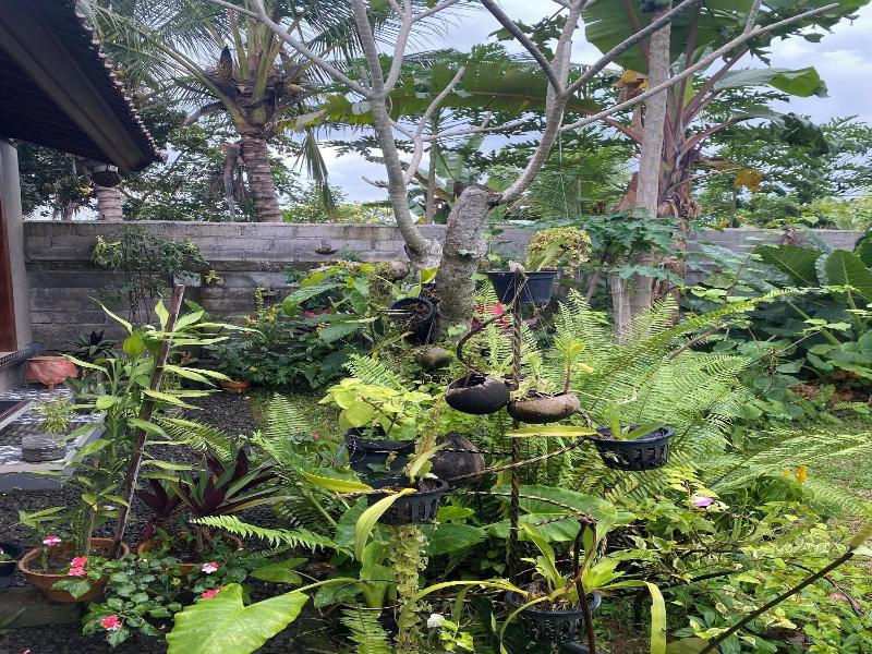 Bali Asli Guest House By Eps image