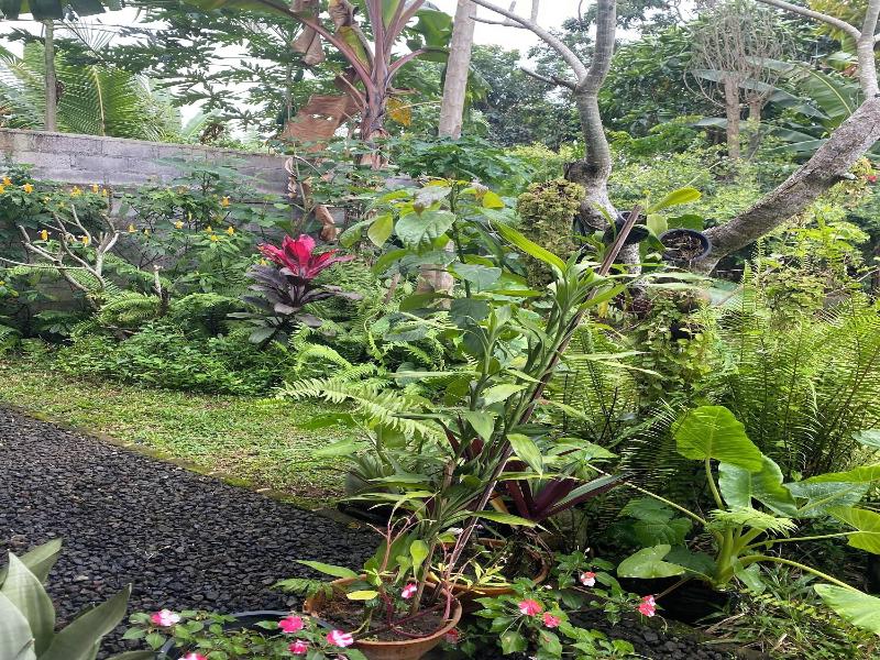 Bali Asli Guest House By Eps image