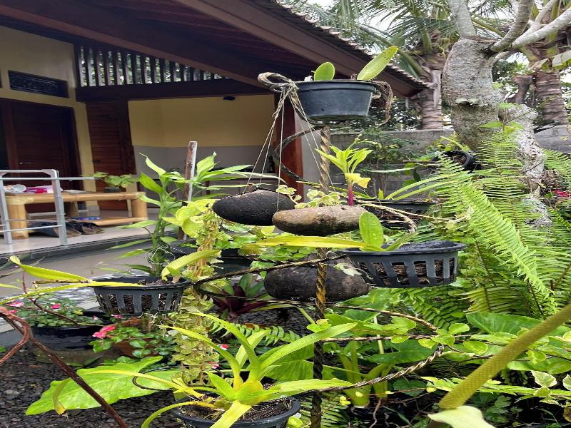 Bali Asli Guest House By Eps image