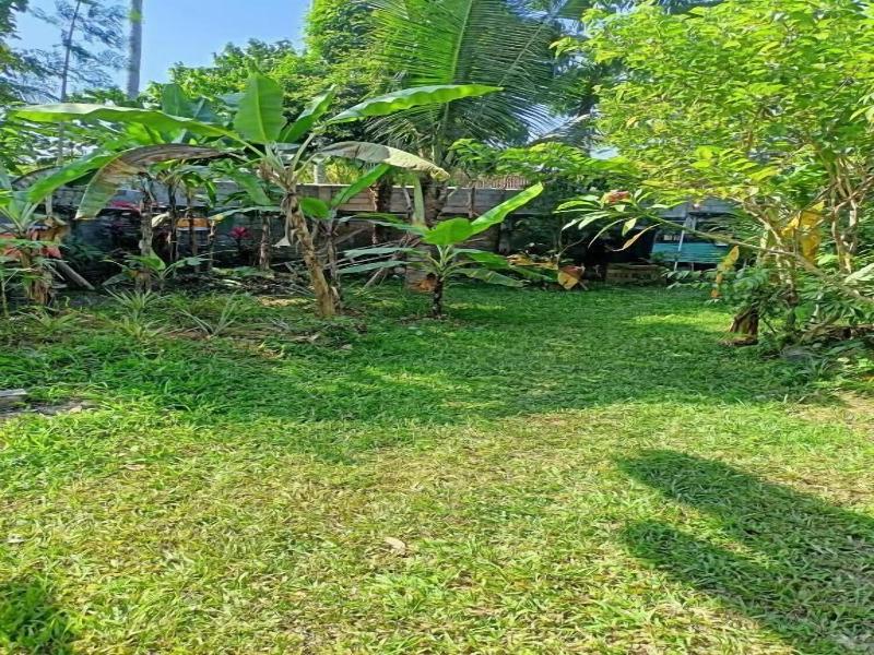 Bali Asli Guest House By Eps image