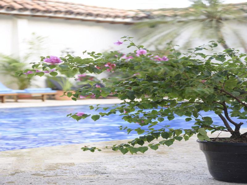 Hotel Boutique Al Alma — view