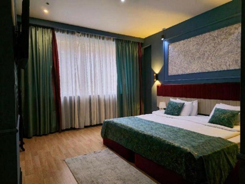 Nemi Museum Hotel Baku image